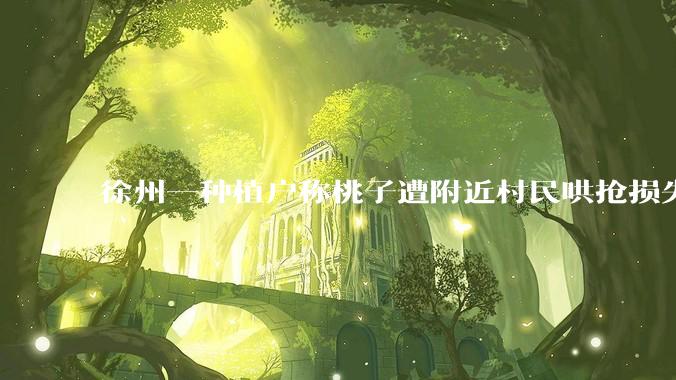 徐州一种植户称桃子遭附近村民哄抢损失 5 万余斤，具体情况如何？暴露了基层社会治理的哪些问题？