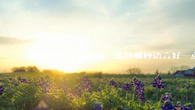 前端想要学习后端，选择哪种语言好一点？