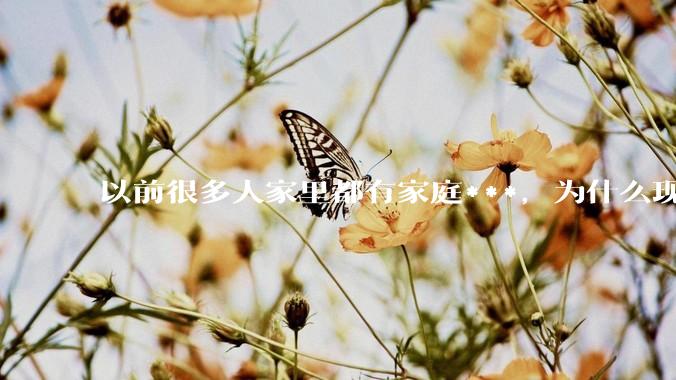 以前很多人家里都有家庭***，为什么现在几乎看不到了？