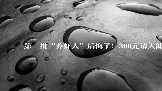第一批“养虾人”后悔了！300元请人卸载，有平台封杀OpenClaw_龙虾_自动工作_进行