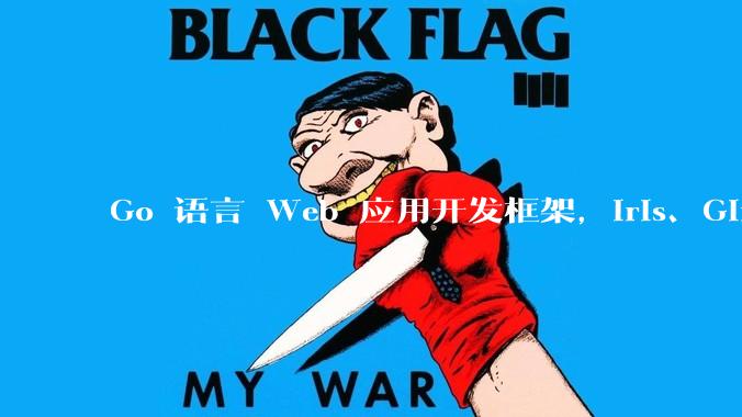 Go 语言 Web 应用开发框架，Iris、Gin、Echo，哪一个更适合大型项目？