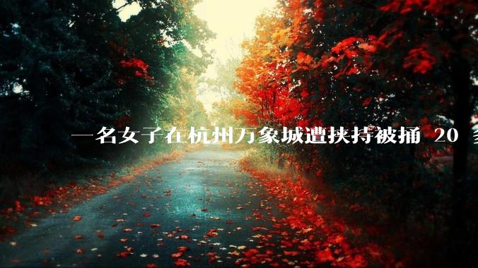 一名女子在杭州万象城遭挟持被捅 20 多刀，隆胸***体救了一命，这反映出哪些公安系统的问题？