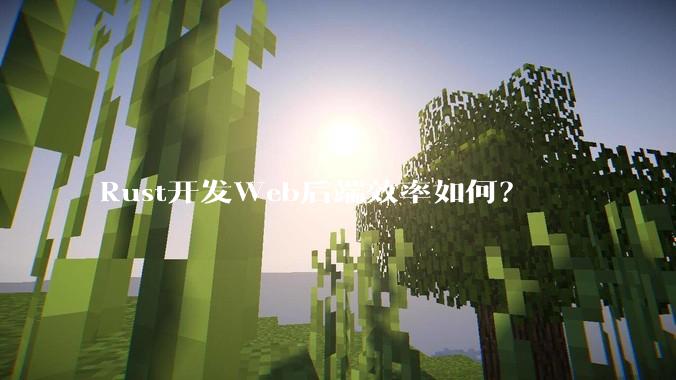 Rust开发Web后端效率如何？