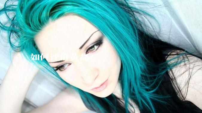 如何评价黄磊？