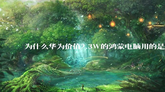 为什么华为价值2.3W的鸿蒙电脑用的是美国西数的中低固态硬盘？？